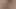 Thick cock shemale teasing the camera