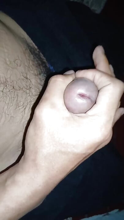 다람쥐의 꼬리가 마침내 끝납니다.