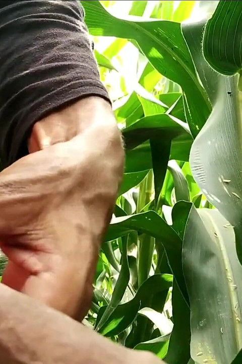 Village Masturbation and Cumshot on Leaf