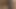 Hızlı tombul dildo yolculuğu