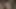 bbc cum