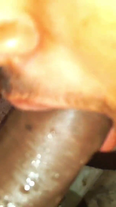 Stunning moment from "I made my friend's brother suck my dick and then fucked his ass with my thick dick."