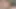 Mature Big Cock Daddy Men Wank in Bedroom with His Huge Dick