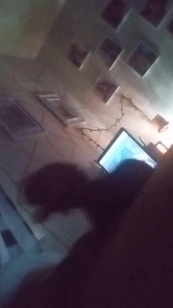 BBC Half hard snap