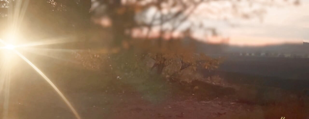 Loše osvjetljenje golo ispred automobila u prolazu