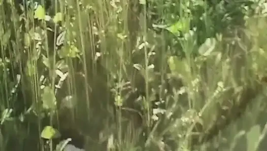 Olgun esmer orta yaşlı seksi kadın açık havada yarak emiyor ve biniyor