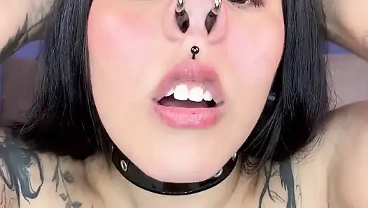 Turned in to Piggy
