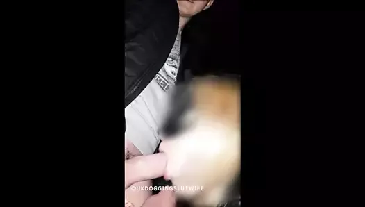 Dogging with new young cock