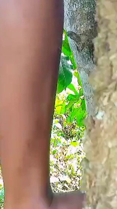Teen Solo female masturbation with wet tight pussy in the bush, she missed hardcore fuck and enjoyed self sexual pleasure | Clip 1