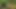 Nude Beekeeper Challenge