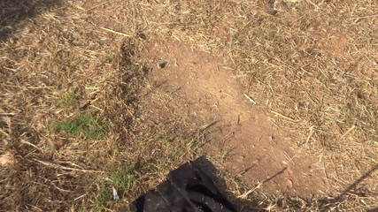 sweeping soil with black pencil skirt