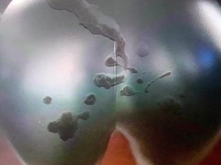 Sperma hyllning för aurora sarto