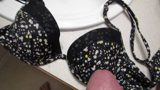 Daughter-in-Law's Panties and Bikini Top Cum