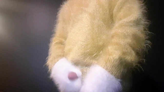 Stroking with angora