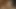 Belladonna Cumpilation