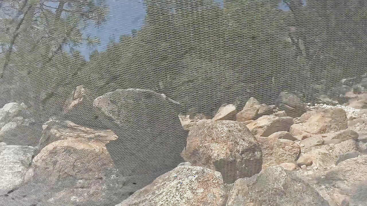 Fucking at the Nude Beach Vlog