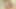 Tia Tanaka Asian Shell Bomb Gets Eaten Fingered Penetrated and Deep Throated by a Guy