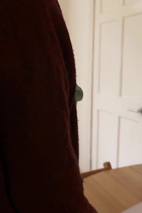 Rengjøring av hushjelp mot klokken, ellers venter en spanking