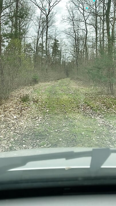 Thomas GODEBIN walks naked in the forest
