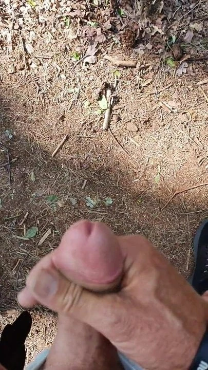 in the woods