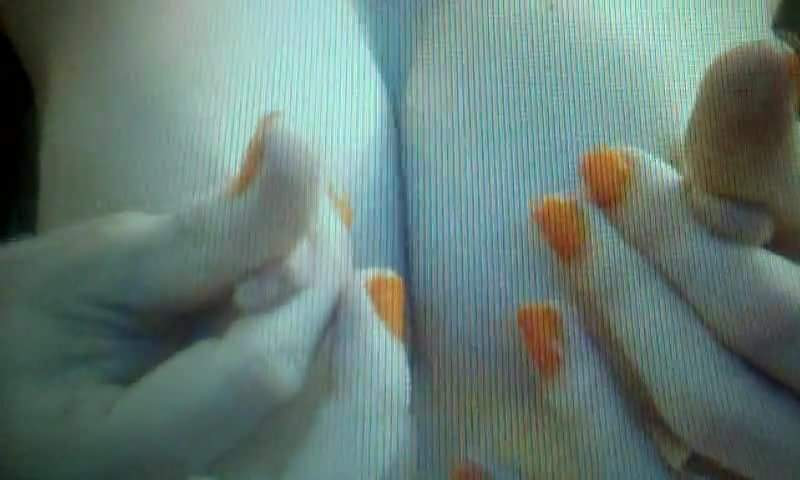 Vid 20171014 000757.mp4