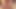 Sert yarak