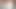 Pakistani Indian bengali slags tiktok