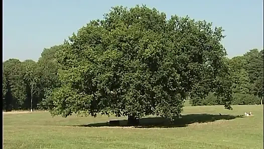 Erkek arkadaşım ve en iyi arkadaşımla açık havada