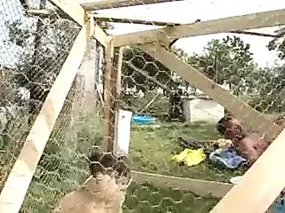 Junge Kuken geile Ferkel im Garten knallhart durchgefickt
