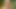 Springtime - Charlotte Stokely