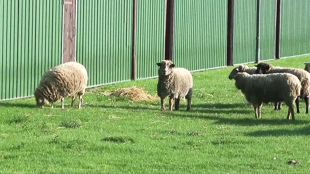 Hot sex in the German countryside 2 - Episode 5