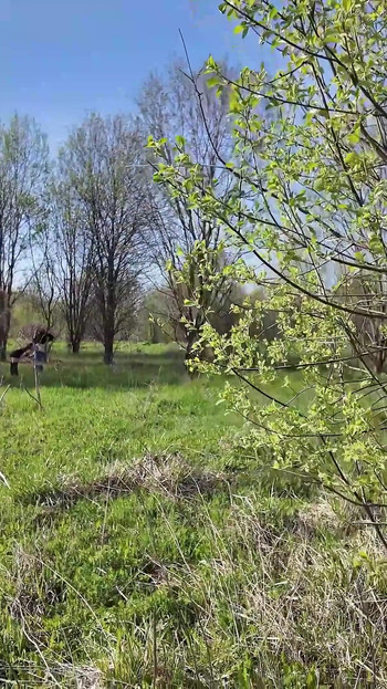 We Are Watched Ass Fucking