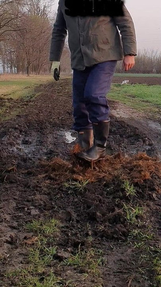 Fermier care se joacă cu gunoi de grajd