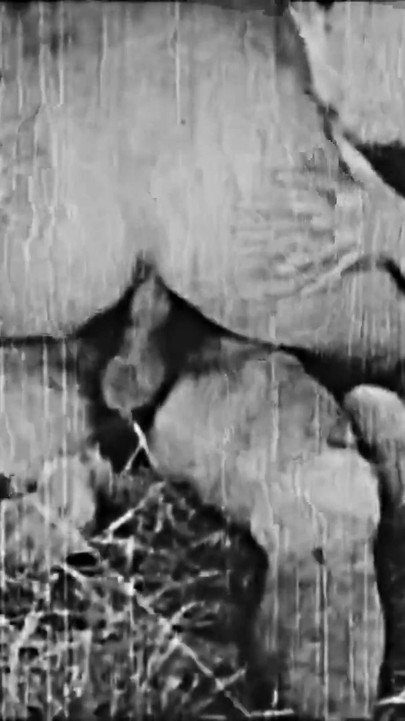 El Satario - Restored 4K Vintage Erotica
