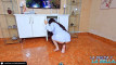 Pratinjau video