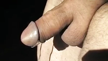 Silber Bullet