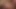Lynn melenturkan topless