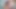 Booty trans lesbians rimming and sucking in erotic couple