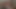 Insatiable sexdoll porn tape scene 1