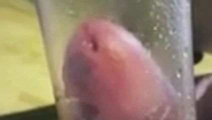 Vacuum Piss 2