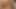 Mia ve Natasha Malkova birbirlerini yalıyor