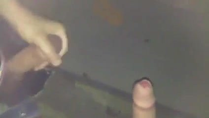 Homo Erectus 310