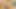 Velma Dinkley from socooby doo cosplay red light green light jerk off game JOI BUTTPLUG AND PERFECT BLOWJOB