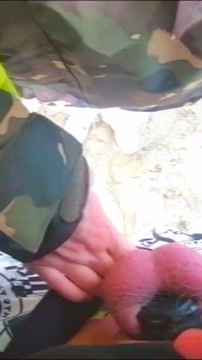 SISSY PET OUTDOORS - Walking your balls on the beach! | Clip 1