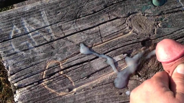 Picnic table art