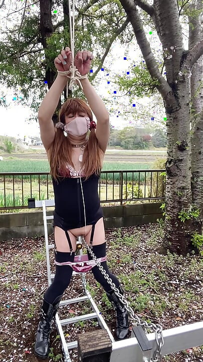 No178 Cherry Blossoms and Chain Crossing Part 2