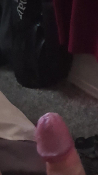 Jerking off. Having fun.