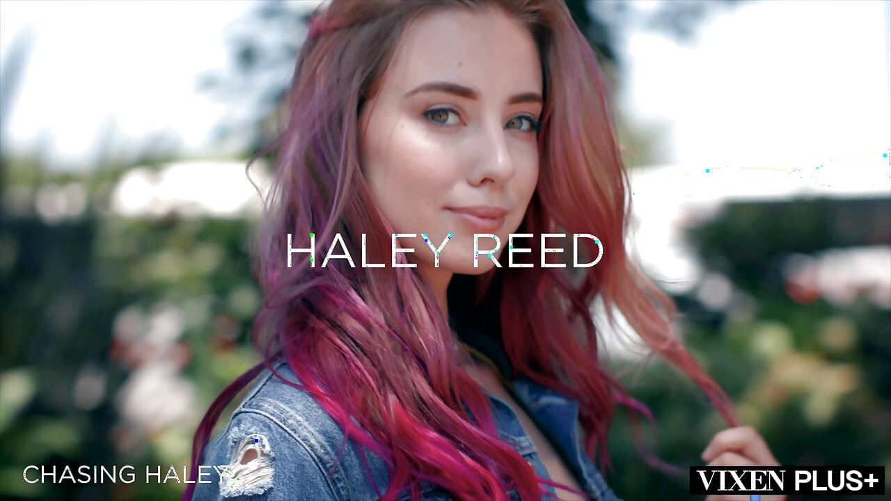 VIXENPLUS unutar Haley kompilacije