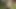 Video ön izlemesi