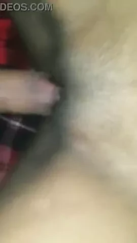 video dasi saxi